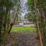 Wersehaus Mit Direktem Wasserzugang Inkl Kanu *