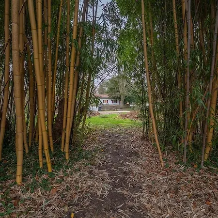 Wersehaus Mit Direktem Wasserzugang Inkl Kanu Ferienhaus *
