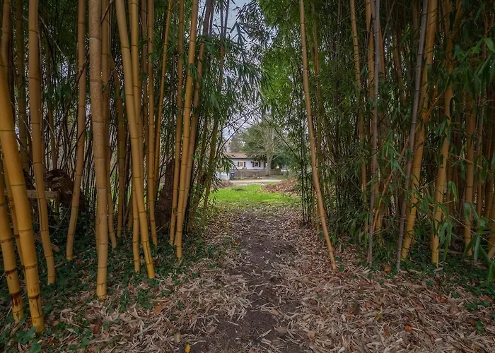 Wersehaus Mit Direktem Wasserzugang Inkl Kanu Ferienhaus *