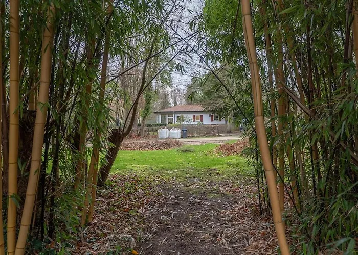 Wersehaus Mit Direktem Wasserzugang Inkl Kanu *